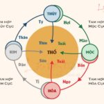 Ba tổ hợp: Tị Dậu Sửu – Bộ ba tri thức, khẳng định uy quyền