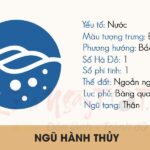 Hành Thuỷ là gì? Những đặc điểm cơ bản nhất của hành Thuỷ