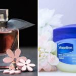 Mách bạn cách giữ hương nước hoa lâu chỉ với 1 hũ Vaseline