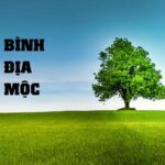 Mệnh Bình Địa Mộc là gì? Số phận của những người sinh ra ở yếu tố Bình Địa Mộc như thế nào và cuộc sống của họ ra sao?