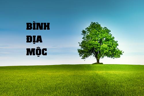 Mệnh Bình Địa Mộc là gì? Số phận của những người sinh ra ở yếu tố Bình Địa Mộc như thế nào và cuộc sống của họ ra sao?