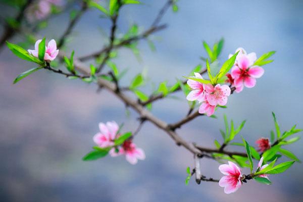 Trẻ sinh vào 4 tháng này vô cùng may mắn: Dù trai hay gái đều có tương lai tươi sáng như ngọc