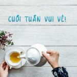 Tử vi 12 con giáp ngày hôm nay 17/12 có các con giáp tài lộc vào như nước, sự nghiệp thăng hoa